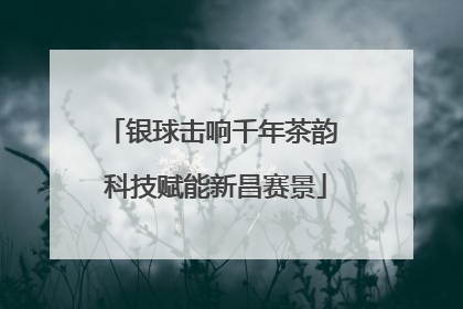 银球击响千年茶韵 科技赋能新昌赛景