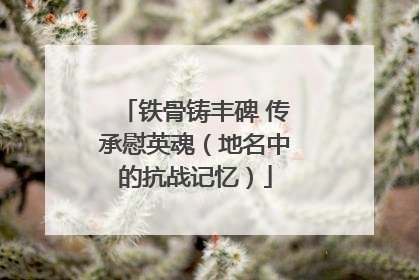铁骨铸丰碑 传承慰英魂（地名中的抗战记忆）
