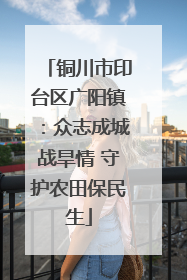 铜川市印台区广阳镇：众志成城战旱情 守护农田保民生