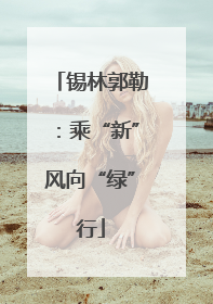 锡林郭勒：乘“新”风向“绿”行