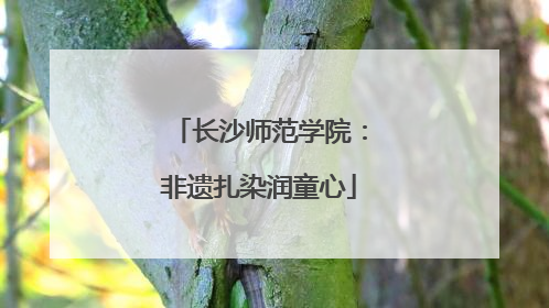 长沙师范学院：非遗扎染润童心