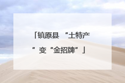 镇原县 “土特产”变“金招牌”