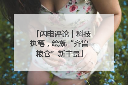 闪电评论｜科技执笔，绘就“齐鲁粮仓”新丰景