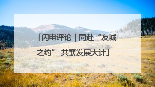 闪电评论｜同赴“友城之约” 共襄发展大计
