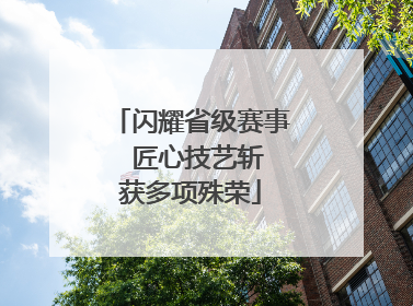 闪耀省级赛事  匠心技艺斩获多项殊荣