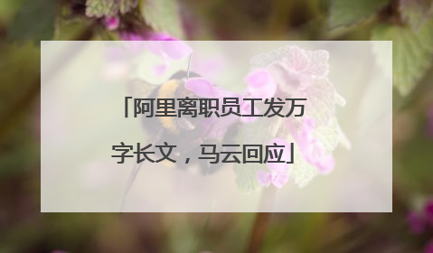 阿里离职员工发万字长文，马云回应