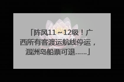 阵风11～12级！广西所有客渡运航线停运，涠洲岛船票可退……