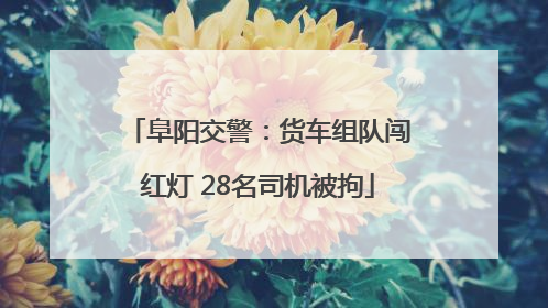 阜阳交警：货车组队闯红灯 28名司机被拘