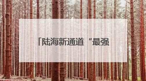 陆海新通道“最强大脑” 带动国际货运由“智”到“质”高质量发展