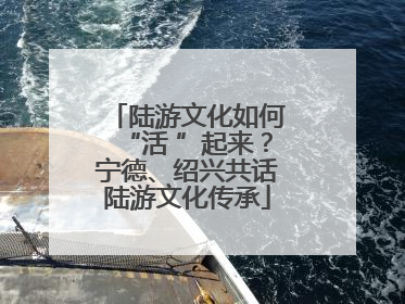 陆游文化如何“活 ”起来？宁德、绍兴共话陆游文化传承