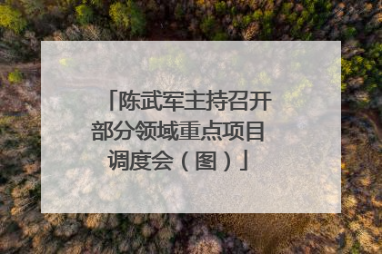 陈武军主持召开部分领域重点项目调度会（图）