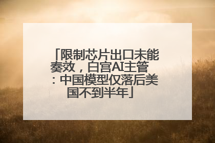 限制芯片出口未能奏效，白宫AI主管：中国模型仅落后美国不到半年