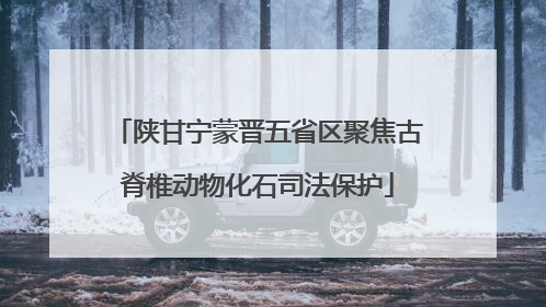 陕甘宁蒙晋五省区聚焦古脊椎动物化石司法保护