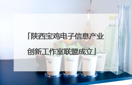 陕西宝鸡电子信息产业创新工作室联盟成立