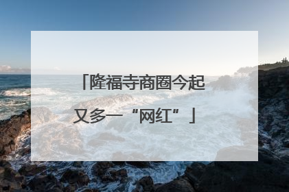 隆福寺商圈今起又多一“网红”