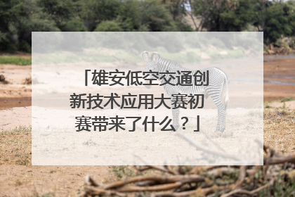 雄安低空交通创新技术应用大赛初赛带来了什么？