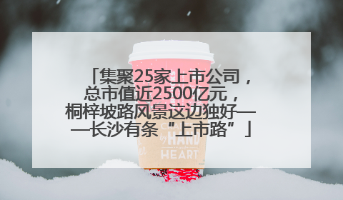 集聚25家上市公司，总市值近2500亿元，桐梓坡路风景这边独好——长沙有条“上市路”