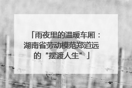 雨夜里的温暖车厢：湖南省劳动模范郑道远的“摆渡人生”
