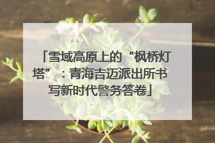 雪域高原上的“枫桥灯塔”：青海吉迈派出所书写新时代警务答卷