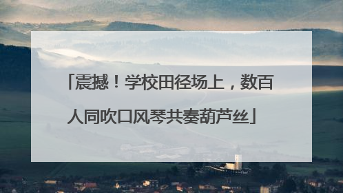 震撼！学校田径场上，数百人同吹口风琴共奏葫芦丝