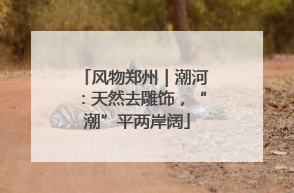 风物郑州｜潮河：天然去雕饰，“潮”平两岸阔