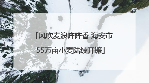风吹麦浪阵阵香 海安市55万亩小麦陆续开镰
