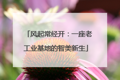 风起常经开：一座老工业基地的智美新生