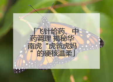 飞针给药、中药调理 揭秘华南虎“虎爸虎妈”的硬核温柔