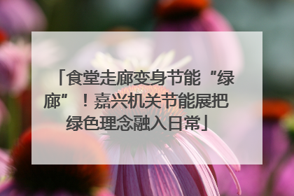 食堂走廊变身节能“绿廊”！嘉兴机关节能展把绿色理念融入日常