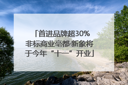 首进品牌超30% 非标商业亳都·新象将于今年“十一”开业