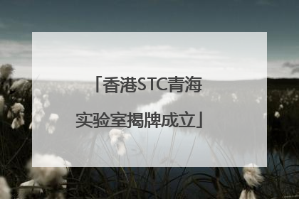 香港STC青海实验室揭牌成立