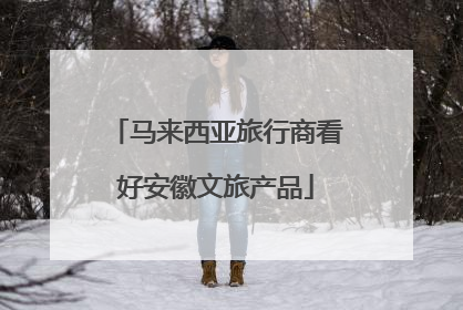 马来西亚旅行商看好安徽文旅产品