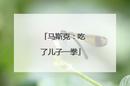 马斯克：吃了儿子一拳
