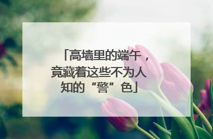 高墙里的端午，竟藏着这些不为人知的“警”色