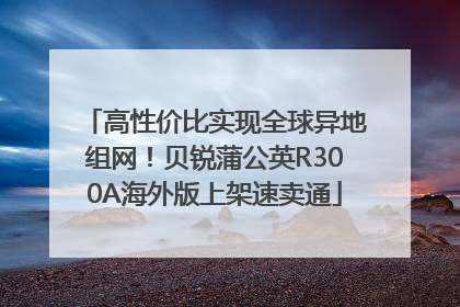 高性价比实现全球异地组网！贝锐蒲公英R300A海外版上架速卖通