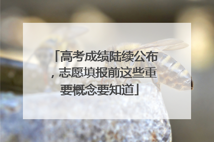 高考成绩陆续公布，志愿填报前这些重要概念要知道