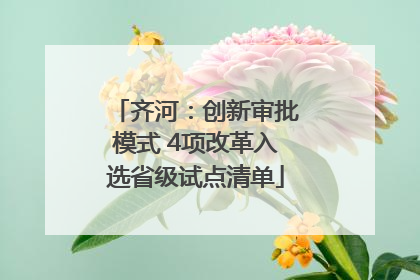 齐河：创新审批模式 4项改革入选省级试点清单