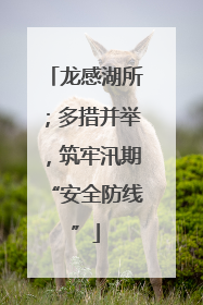 龙感湖所；多措并举，筑牢汛期“安全防线”