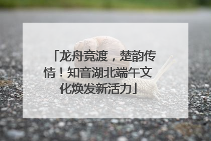 龙舟竞渡，楚韵传情！知音湖北端午文化焕发新活力