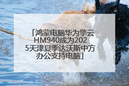 鸿蒙电脑华为擎云 HM940成为2025天津夏季达沃斯中方办公支持电脑