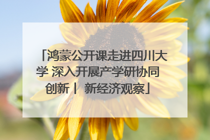 鸿蒙公开课走进四川大学 深入开展产学研协同创新丨 新经济观察