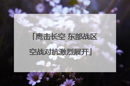 鹰击长空 东部战区空战对抗激烈展开