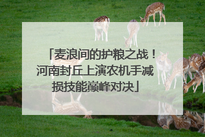 麦浪间的护粮之战！河南封丘上演农机手减损技能巅峰对决