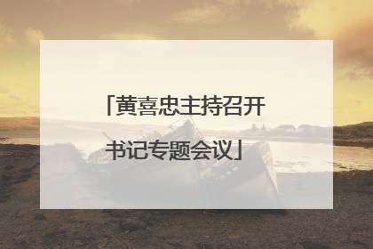 黄喜忠主持召开书记专题会议