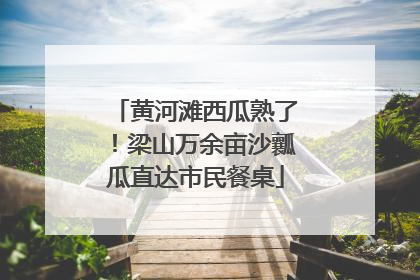 黄河滩西瓜熟了！梁山万余亩沙瓤瓜直达市民餐桌