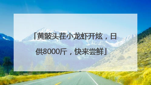 黄陂头茬小龙虾开炫，日供8000斤，快来尝鲜