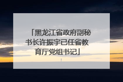 黑龙江省政府副秘书长许振宇已任省教育厅党组书记
