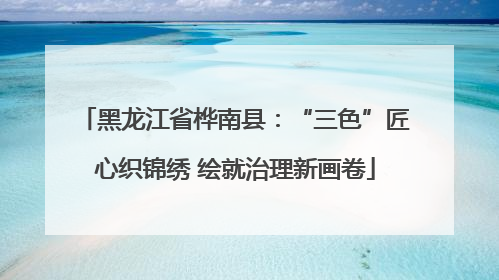 黑龙江省桦南县：“三色”匠心织锦绣 绘就治理新画卷