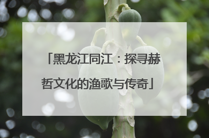 黑龙江同江：探寻赫哲文化的渔歌与传奇