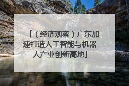（经济观察）广东加速打造人工智能与机器人产业创新高地